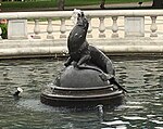 Detroit Zoo seal in Rackham Fountain (5679)